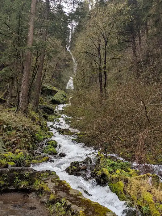 Wahkeena Falls Oregon