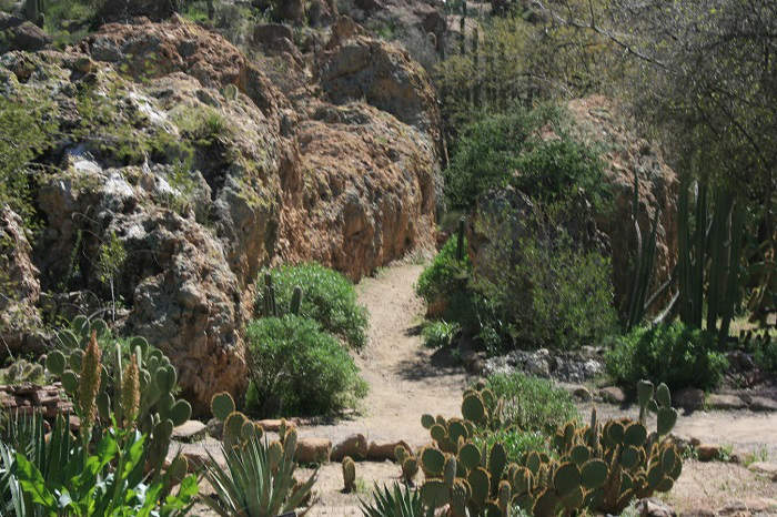 Boyce Arboretum Arizona