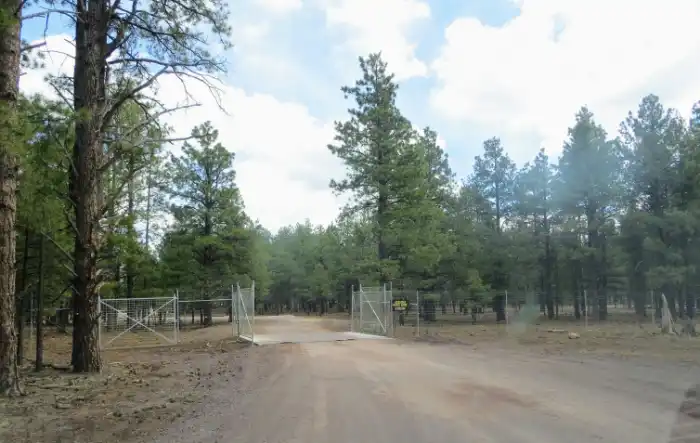 gate at bearizona