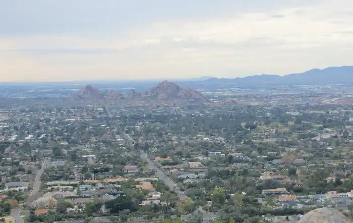 Camelback Mountain Cholla View