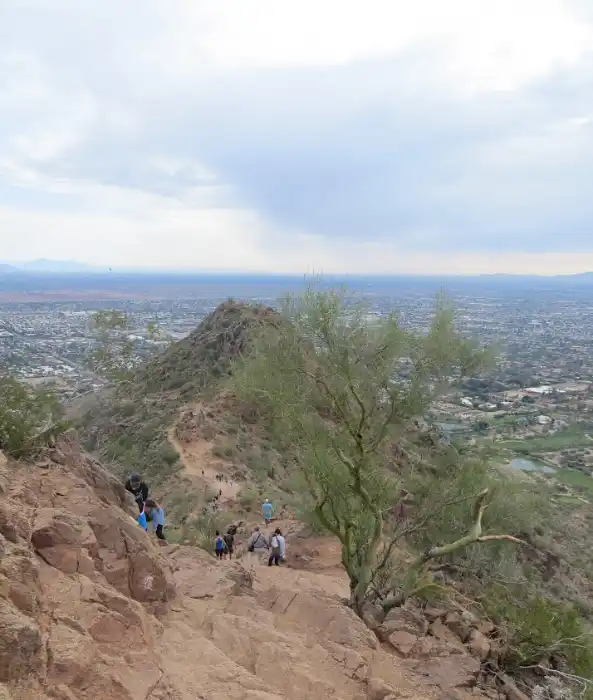 Cholla Trail