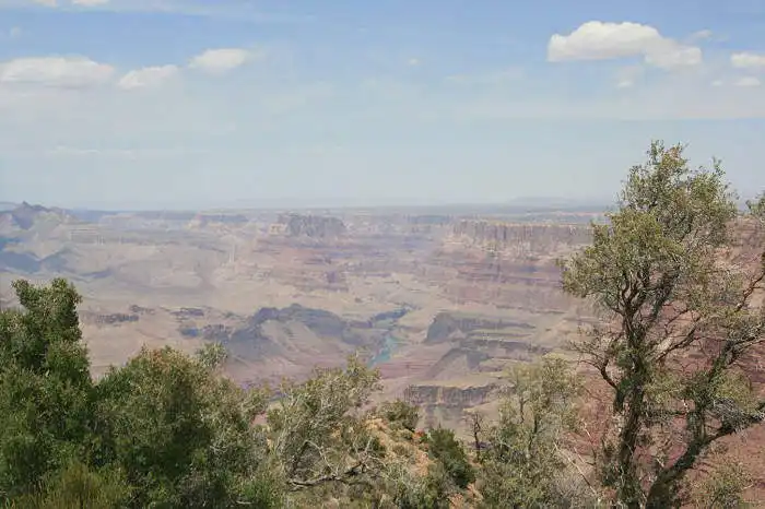 Desert Viewpoint