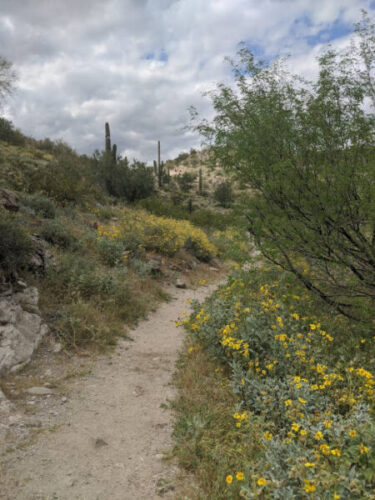 Lake Pleasant Hiking trail