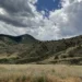 lariat loop feature