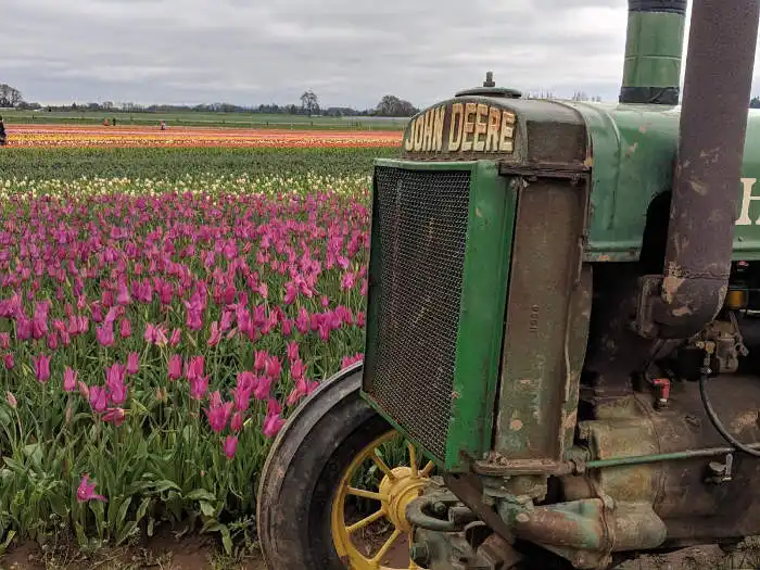 Oregon Tulip Farm