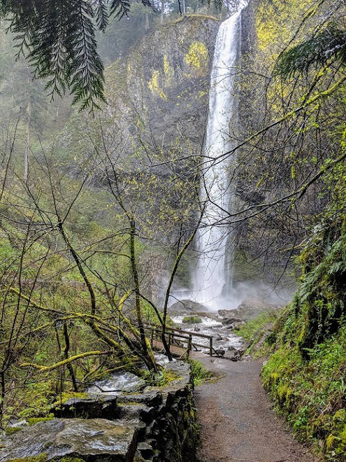Latourell Falls in Oregon