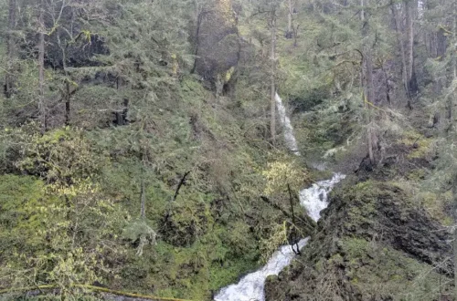 oregon waterfall feature
