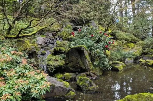 Portland Japanese garden