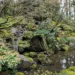 Portland Japanese garden