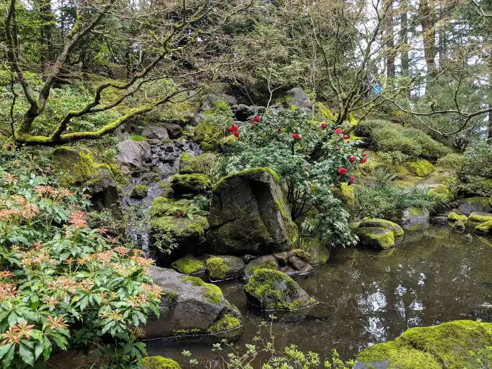Portland Japanese garden