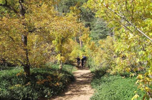 Sedona West Fork Trail