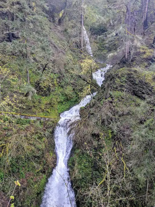 Sheppards Dell Waterfall