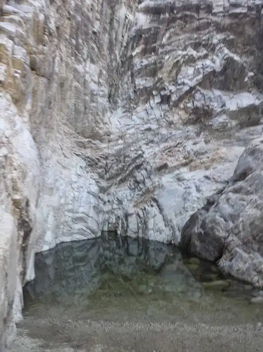 Waterfall Trail White Tank