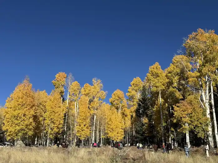 Aspen Corner Flagstaff