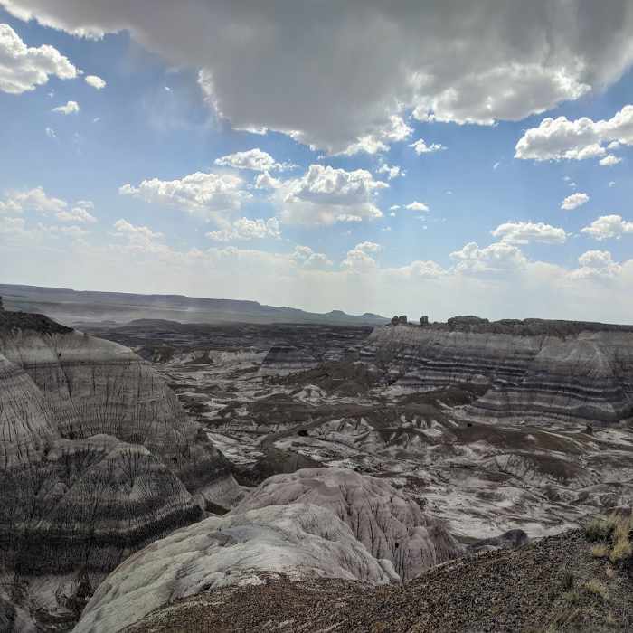 Blue Mesa Loop Forest-Petrified Forest National Park Arizona