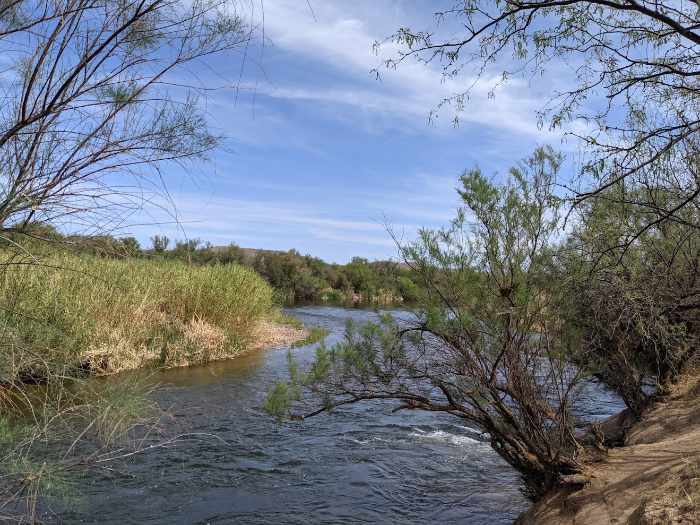 Phon D Sutton Arizona