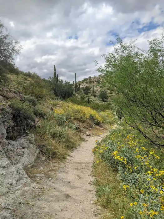 Lake Pleasant Hiking trail