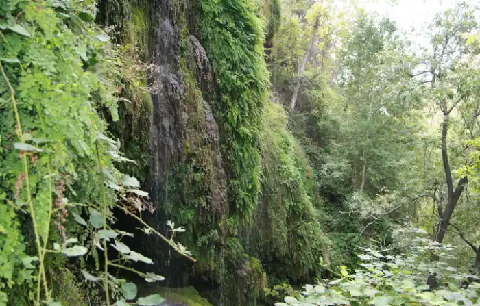 Waterfall Trail Tonto Bridge