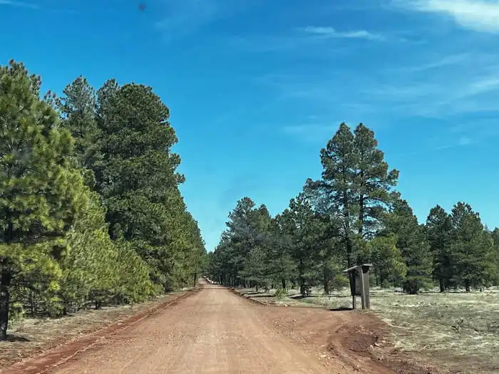 road to sycamore falls