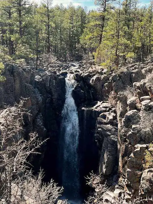 sycamore falls