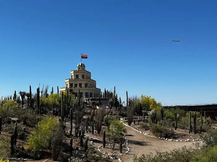 Tovrea cactus garden