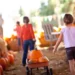 u pick pumpkin patch