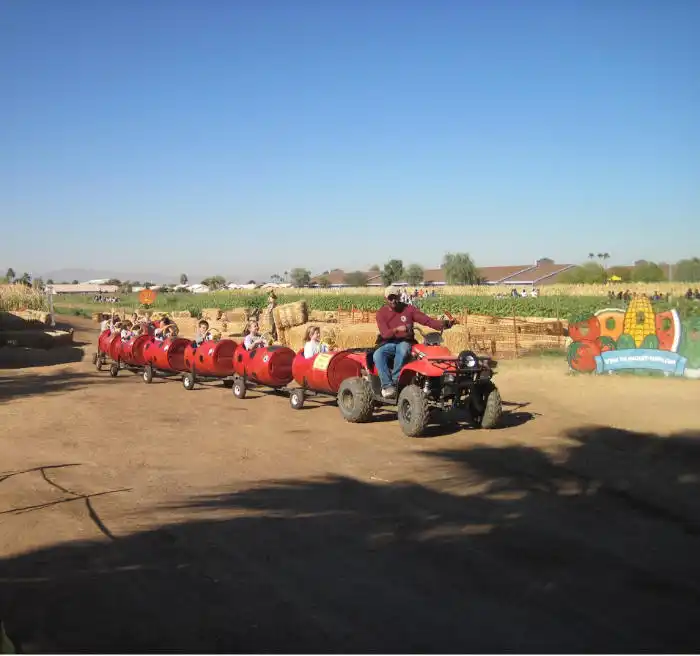 Tomalchoff train