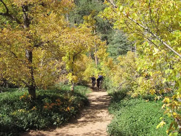 West Fork Trail in October