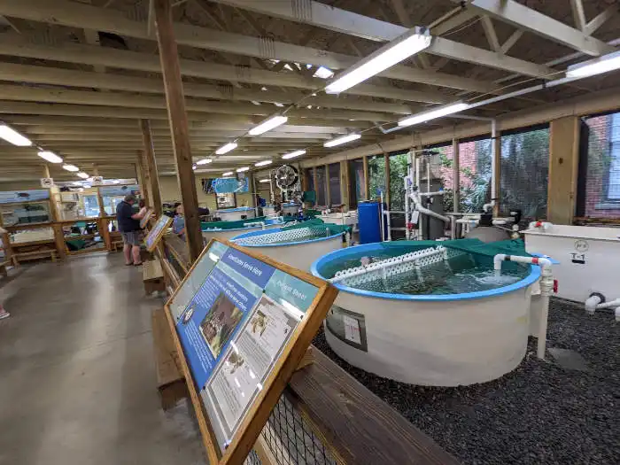 Sea Turtle Center