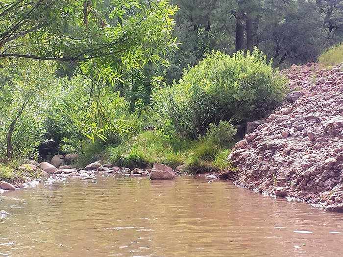 Christopher Creek in Payson