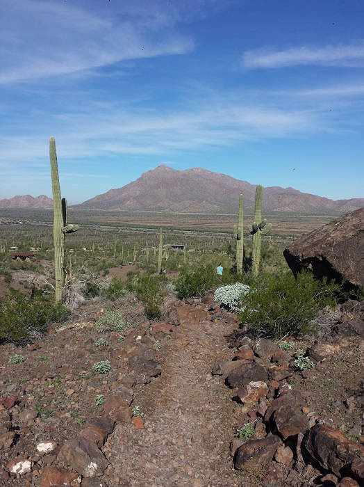 picacho-peak-arizona