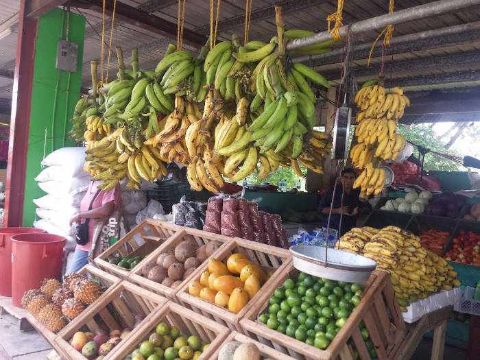 san ignacio belize farmers market