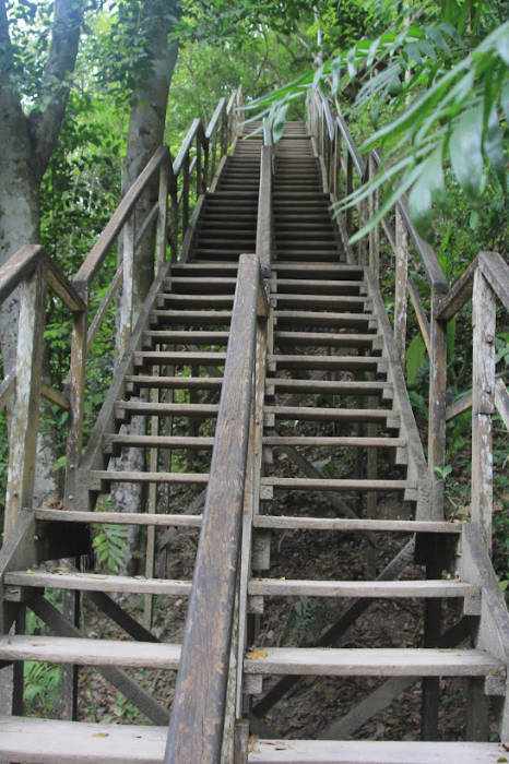 tikal.temple.IV_.stairs