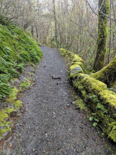 bridal veil fall path oregon