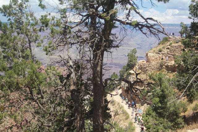 Bright Angel Trail Grand Canyon