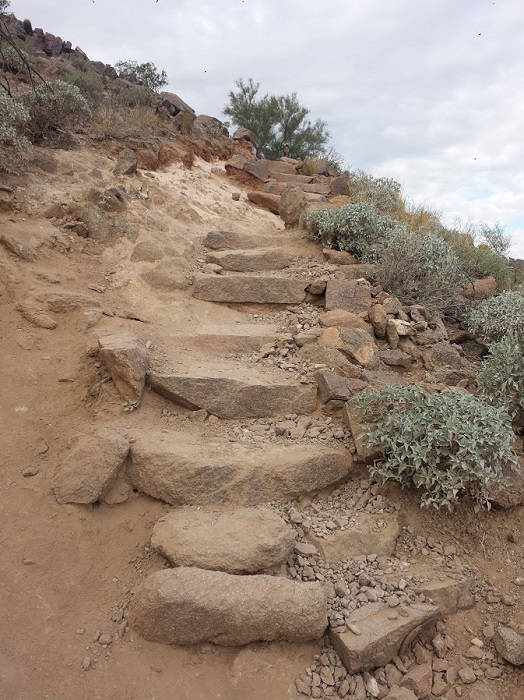 Camelback Cholla Steps