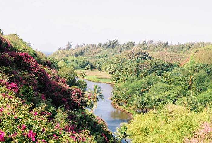 Kauai Botanical Gardens