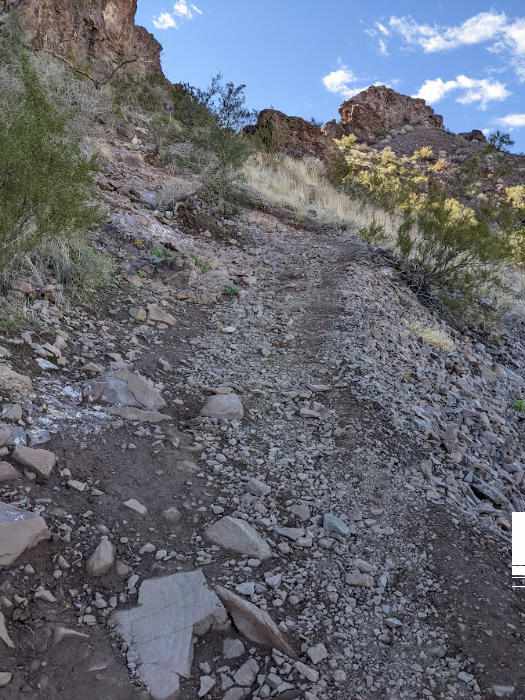 Lookout Mountain Trail in Phoeix