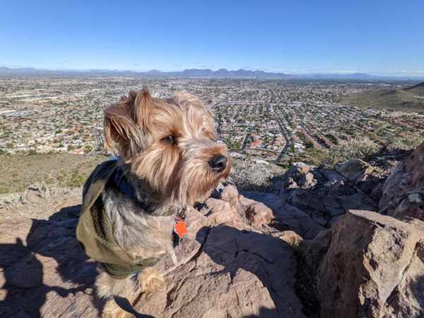 top of lookout mountain trail in phoenix