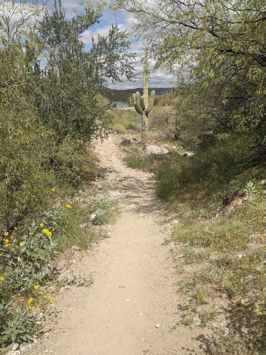 Lake Pleasant Regional Park