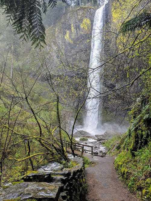Latourell Falls, Oregon