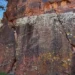 arizona petroglyphs
