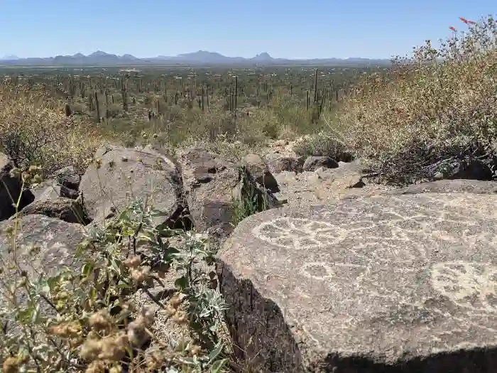 Signal Hill Petroglyphs
