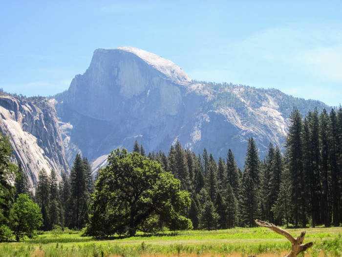 Half Dome Yosemite National Park
