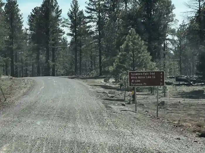 Road to Sycamore Falls