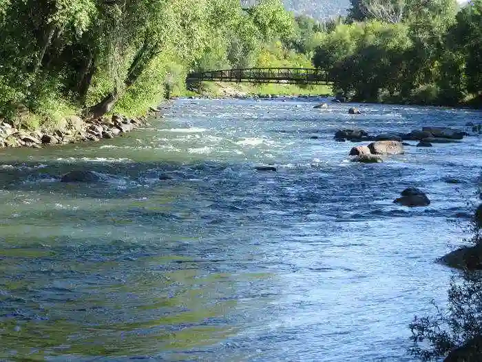 Animas River