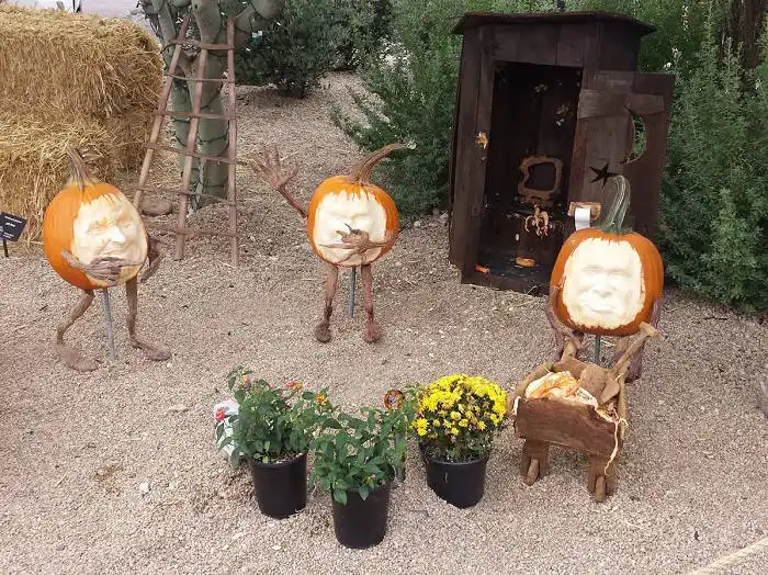 AZ pumpkin festival