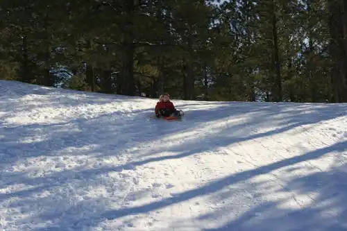 sledding in flagstaff