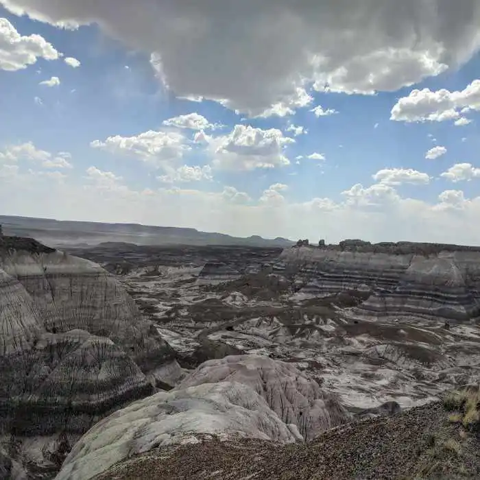 Blue Mesa Loop Forest-Petrified Forest National Park Arizona