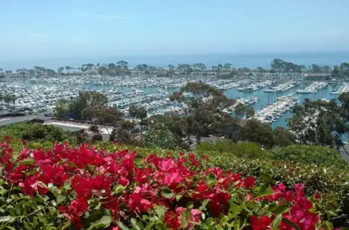 Dana Point bluff overlooking marina